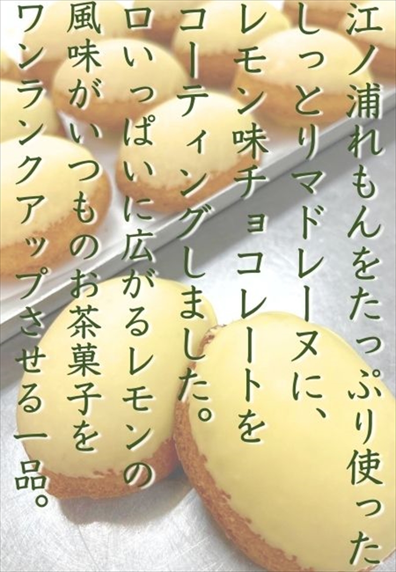 西湘菓子工房樫の樹　江ノ浦れもん10個入りギフト 【 お菓子 スイーツ 神奈川県 小田原市 】