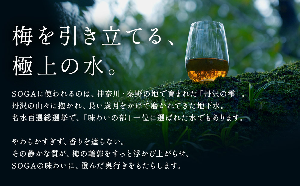 【小田原・曽我の最高傑作「十郎梅」使用梅酒】THE HEALING LIQUEUR SOGA