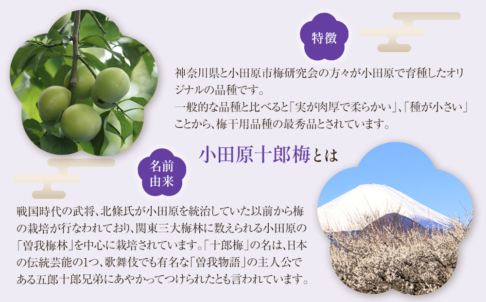【小田原のブランド梅の大粒梅干し】雲上５個入り【 梅干し 神奈川県 小田原市 】