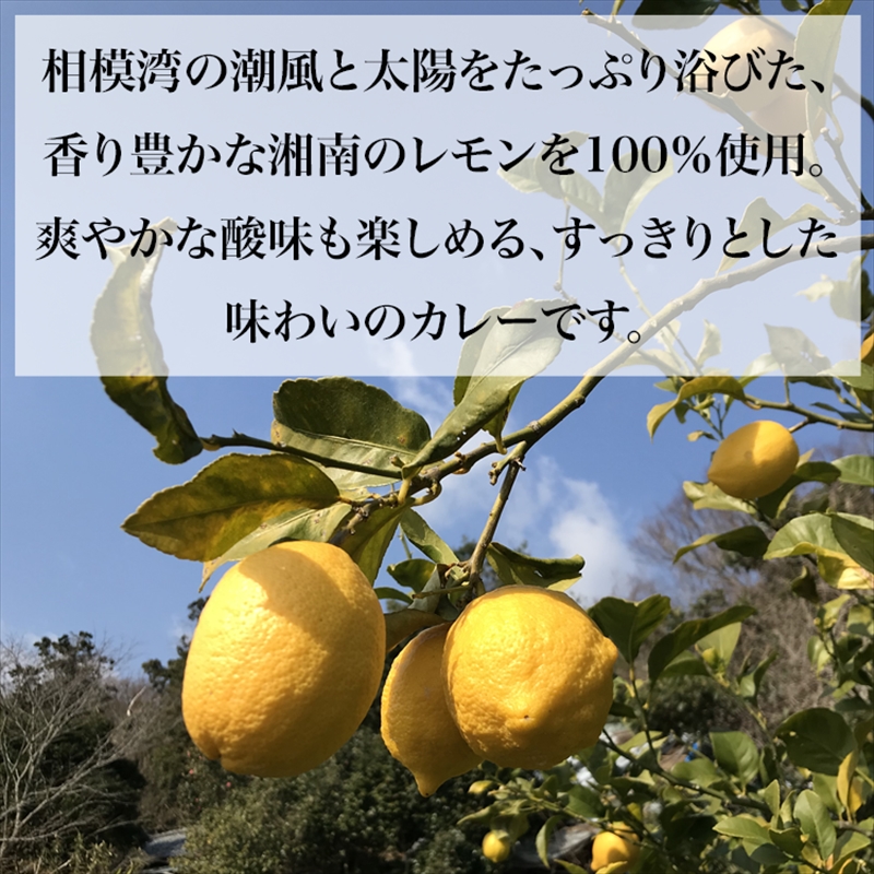 【100％湘南のレモン果汁を使ったカレー4食セット】相模湾の太陽と潮風が育んだ爽やかな味わいを、お手軽に楽しめます！！ 【 カレー 神奈川県 小田原市 】