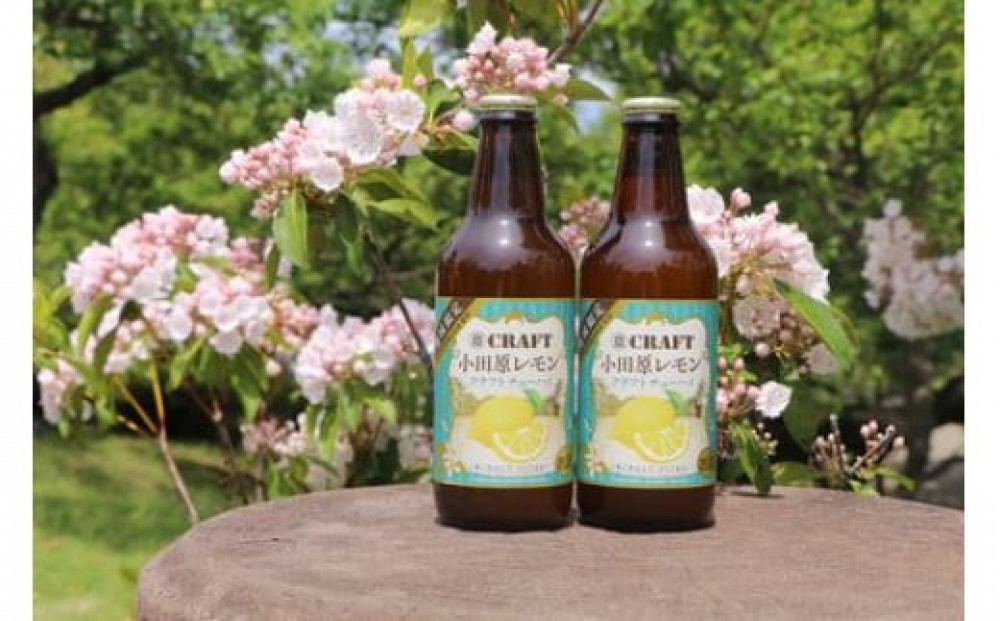 小田原レモンクラフトチューハイ　24本セット