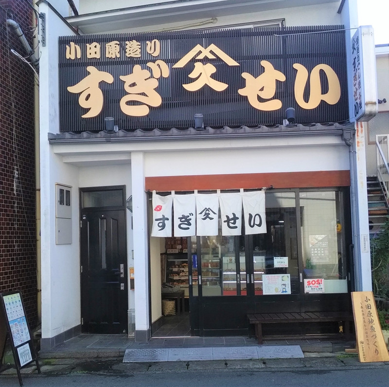 さつま揚げセットお手軽美味しいセット101【創業１９０４年 昔ながらの製法　伝統のさつま揚げ 手造りさつま揚げ 職人のこだわり 伝統製法 上質なすり身 小田原の特産品 小田原名物 おいしいさつま揚げ 神奈川県 小田原市 】