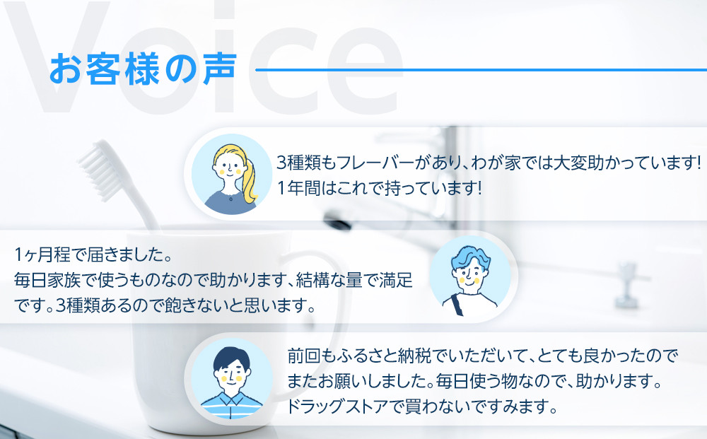 【寄附額見直しました！】LION ハミガキ NONIO×システマ使い比べセット 日用品 ふるさと納税