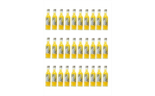 【定期便（2カ月ごと全3回）】小田原産江之浦あなまつスパークリング果汁入り飲料果汁５０％２００ml３０本