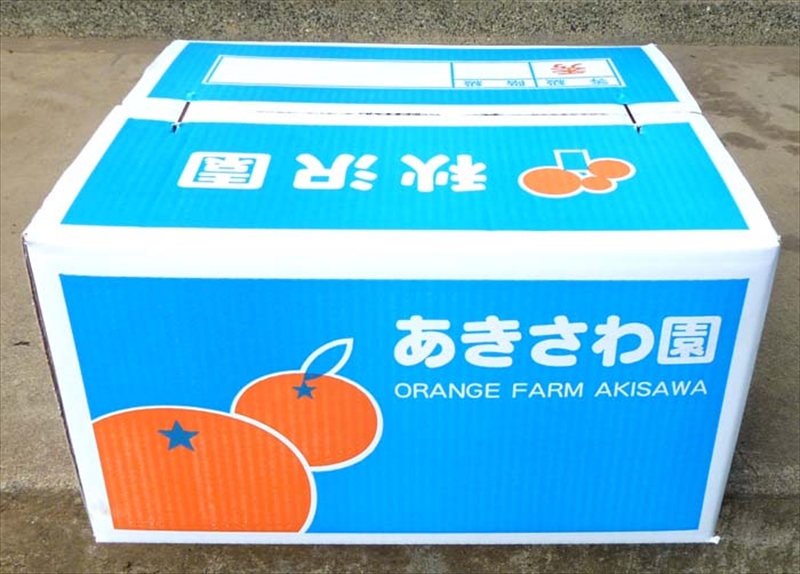 あきさわ園の木なり完熟みかん　10kg〈出荷時期:2024年11月1日出荷開始～2024年12月15日出荷終了〉【 みかん 神奈川県 小田原市 】