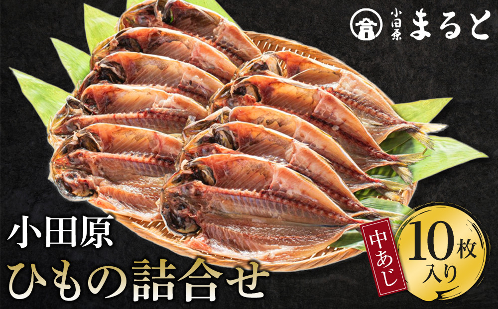 小田原ひもの詰合せ　SA30【惣菜 魚 干物 ひもの お取り寄せ 御中元 お中元 お歳暮 父の日 母の日 贈り物 家庭用 自宅用 贈答品 贈答用 ギフト 定番 朝食 朝ごはん 国産 中あじ  神奈川県 小田原市 】