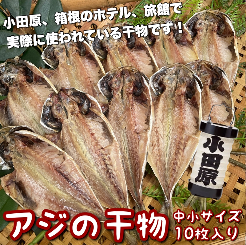 鯵の干物 中小サイズ 10枚セット 【 まぐろや 神奈川県 小田原市 】