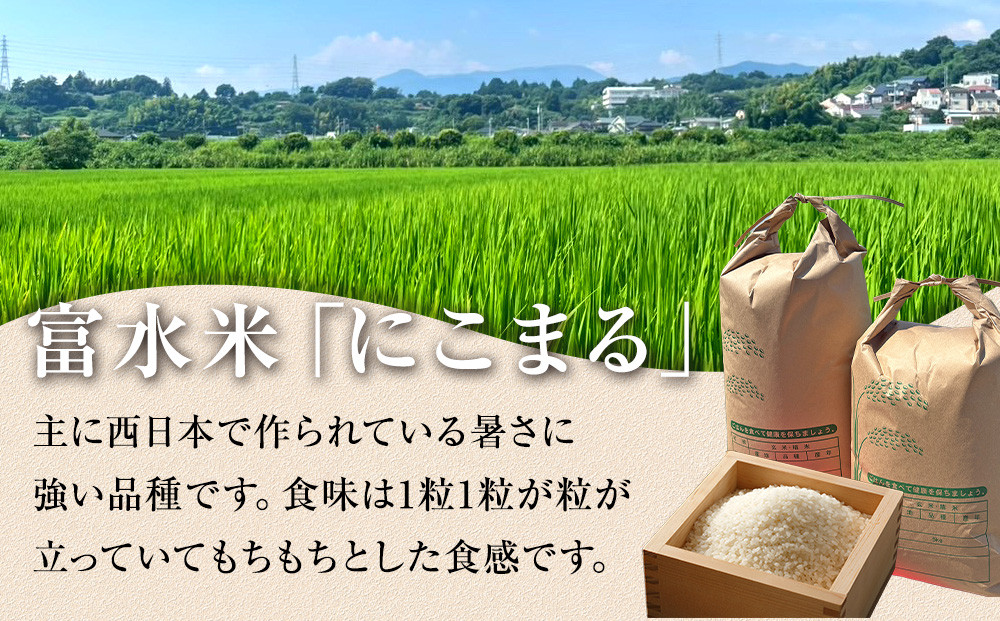 【期間限定・数量限定！】令和7年産　毎月お届け　定期便　富水米　精米　10kg×10か月　にこまる