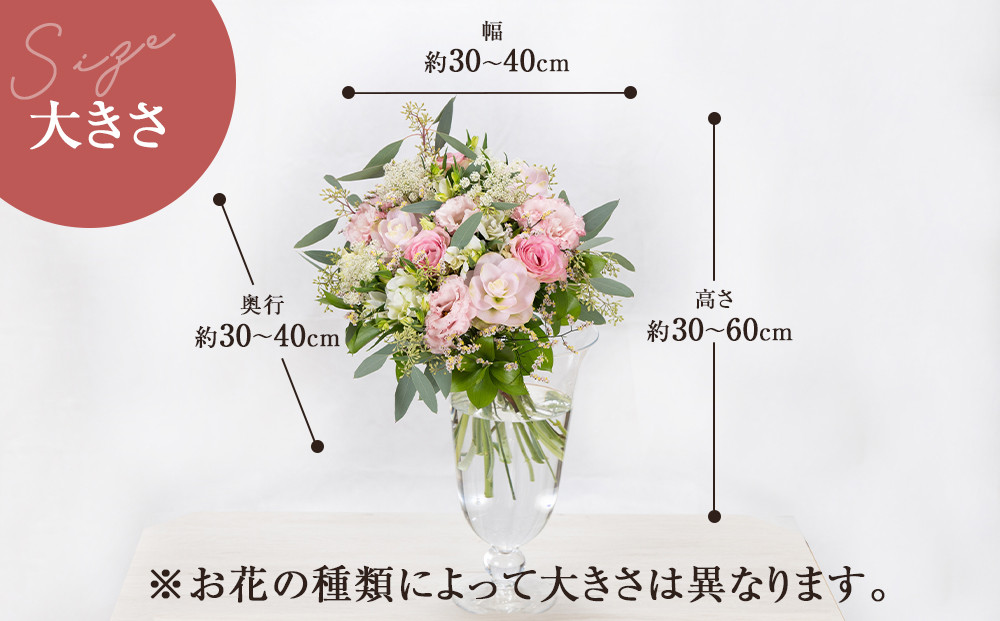 ããæ¯æïŒåãå±ããæ¬ã®è±æïŒ24åïŒ1幎éïŒãããæ¯æïŒåãå±ããæ¬ã®è±æ 24å äžçããå± ãã©ã¯ãŒããªãŒã ãžã£ãã³ã«ãã åœå
äž»èŠã³ã³ãã¹ãåè³ èŽãç© ãè±ã®å®æäŸ¿ ïŒå¹Žéå±ãè±æ ãã©ã¯ãŒã©ã€ã ç¥å¥å·ç å°ç°ååž ã