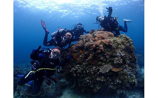 小田原ダイビングスクール 共通クーポン券 30,000円分