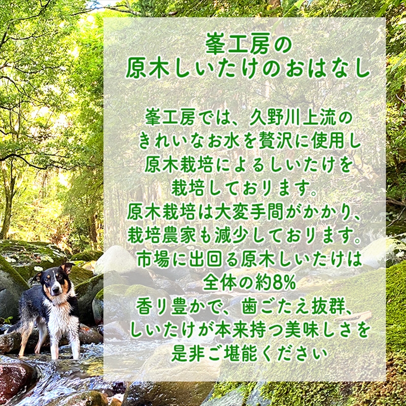 一度食べたら忘れられない！どすこい生しいたけ【原木】300ｇ【 家庭用 自宅用 贈答品 贈答用 ギフト お取り寄せ お中元 お歳暮 贈り物 お祝い 神奈川県 小田原市 】