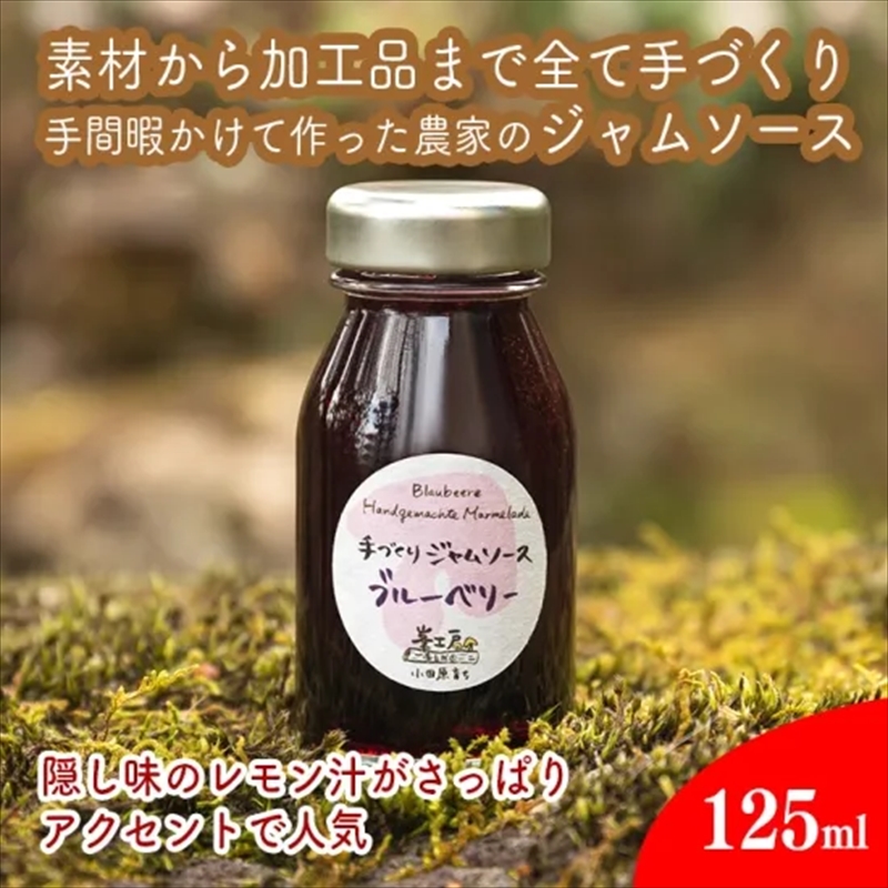 手づくりジャムソース 8本セット 手作りみかん キウイ あまなつ ブルーベリー 125ml 詰め合わせ ギフト 【 家庭用 自宅用 贈答品 贈答用 ギフト お取り寄せ お中元 お歳暮 贈り物 お祝い 神奈川県 小田原市 】