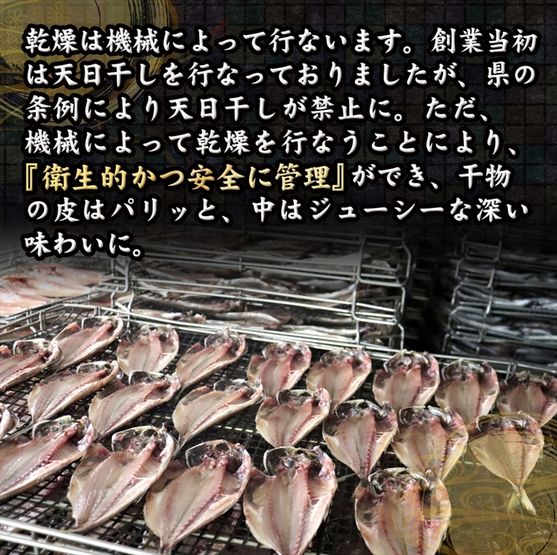 【3ヶ月に1回定期便2回】厳選！小田原の旬の干物セット 梅【 まぐろや 神奈川県小田原市 】