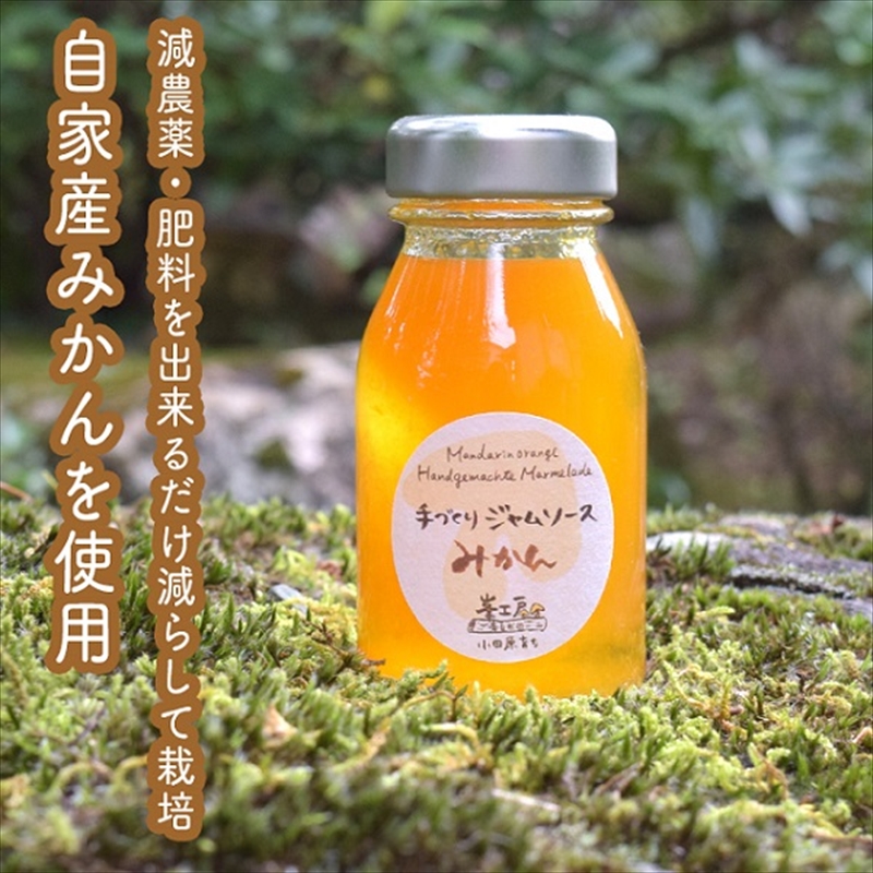 手づくりジャムソース 8本セット 手作りみかん キウイ あまなつ ブルーベリー 125ml 詰め合わせ ギフト 【 家庭用 自宅用 贈答品 贈答用 ギフト お取り寄せ お中元 お歳暮 贈り物 お祝い 神奈川県 小田原市 】