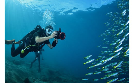 蟆冗伐蜴溘ム繧、繝薙Φ繧ー繧ケ繧ッ繝シ繝ォ 蜈ア騾壹け繝シ繝昴Φ蛻ク 150,000蜀蛻