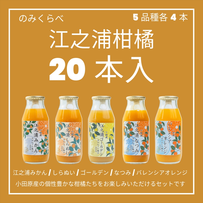 小田原産江之浦みかんジュース５種のみくらべ2０本セット うんしゅう・しらぬい・ゴールデン・なつみ・バレンシアオレンジ１００％ストレートジュース１８０ml各４本合計２０本【 神奈川県 小田原市 】