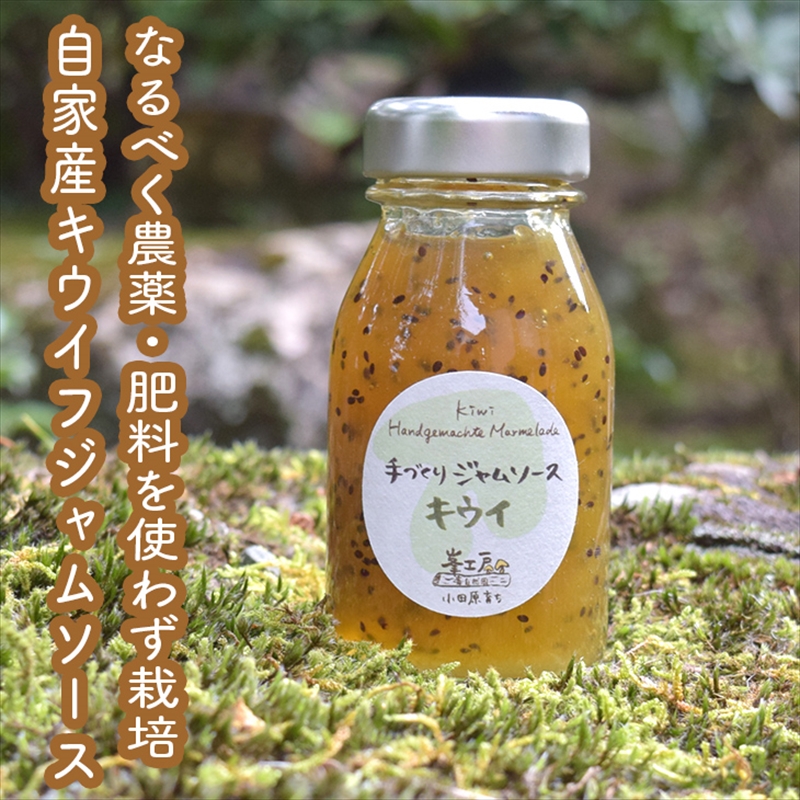 手づくりジャムソース 8本セット 手作りみかん キウイ あまなつ ブルーベリー 125ml 詰め合わせ ギフト 【 家庭用 自宅用 贈答品 贈答用 ギフト お取り寄せ お中元 お歳暮 贈り物 お祝い 神奈川県 小田原市 】