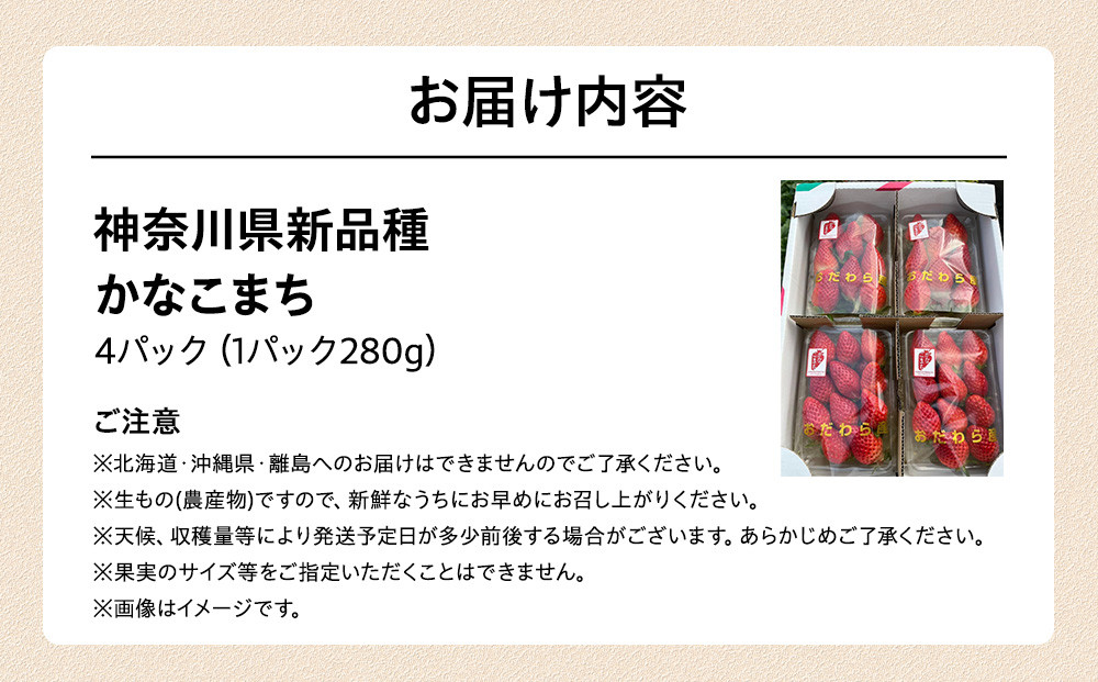 神奈川県新品種「かなこまち」　完熟イチゴ　苺　4パック入り