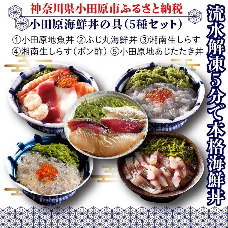 小田原地魚海鮮丼の具（5種セット）