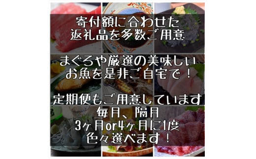 梅くらげ 6本【くらげ 珍味 おつまみ 梅しそ 惣菜 海鮮 塩辛 珍味 お取り寄せ 御中元 お中元 お歳暮 父の日 母の日 贈り物 日本酒 焼酎】【神奈川県小田原市早川】