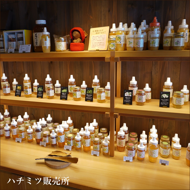 小田原産50ｇ2本セット（百花蜜とみかんの花の蜂蜜）〈箱根ジオパークラベル〉【はちみつ ハチミツ 蜂蜜 家庭用 自宅用 贈答品 贈答用 ギフト お取り寄せ 御中元 お中元 お歳暮 父の日 母の日 贈り物 みかん蜂蜜 百花蜜 季節の蜂蜜 神奈川県 小田原市 】