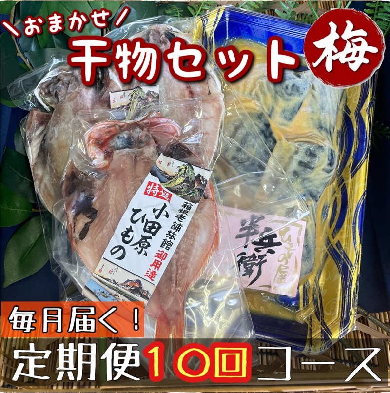 【毎月定期便10回】厳選！小田原の旬の干物セット 梅【 まぐろや 神奈川県小田原市 】