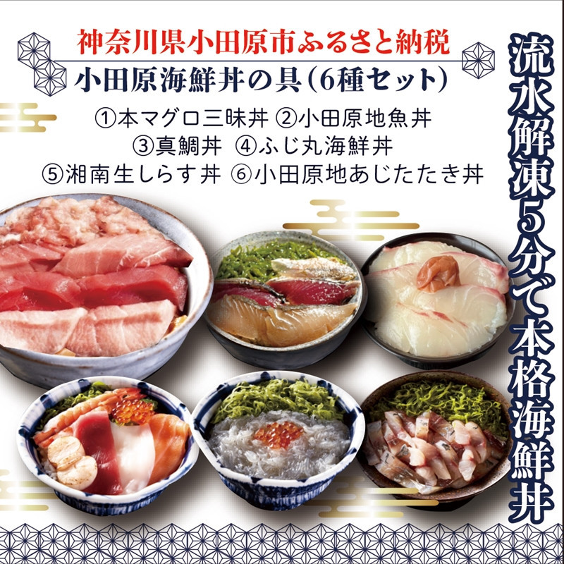 【高級食材本マグロ、曽我の梅干し、小田原地あじ、小田原港直送地魚丼、大磯港直送、湘南生しらす】小田原海鮮丼の具（6種セット）【本まぐろ丼 小田原地魚丼 小田原地あじたたき丼 国産活〆真鯛入り酒仕込み 神奈川県 小田原市 】