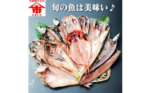 おまかせ干物セット 2倍セット【お取り寄せ 海鮮 グルメ ギフト プレゼント 産地直送 産直 魚 手作り ひもの 詰め合わせ お中元 お歳暮 父の日 母の日 誕生日 自宅用 贈答品 贈答用 朝食 バーベキュー 神奈川県 小田原市】