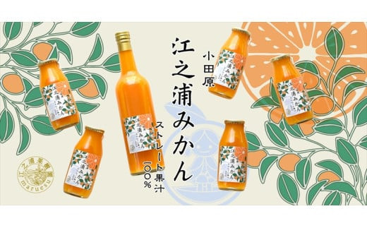 【定期便（2カ月ごと全6回）】小田原産江之浦みかん１００％ストレートジュース５００ml１２本