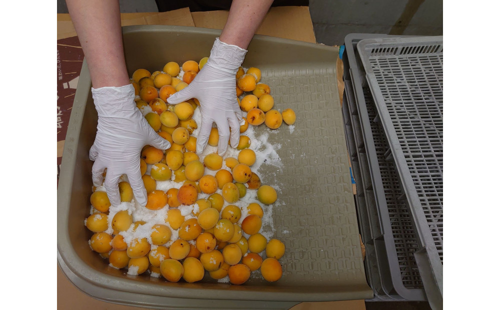 æãªããã®å¡©ã ãã§æŒ¬èŸŒãã ç¡æ·»å ã»ç¡çè²ã®æ¢
å¹²1.2kgãæ¢
å¹² æ¢
å¹²ã ãŠã¡ãã· ãããŒã æ¢
å¹² æ¢
ãŠã¡ ãå®¶çš å®¶åºçš åœç£ ç¡æ·»å ç¡çè² ç¥å¥å·ç å°ç°ååž ã