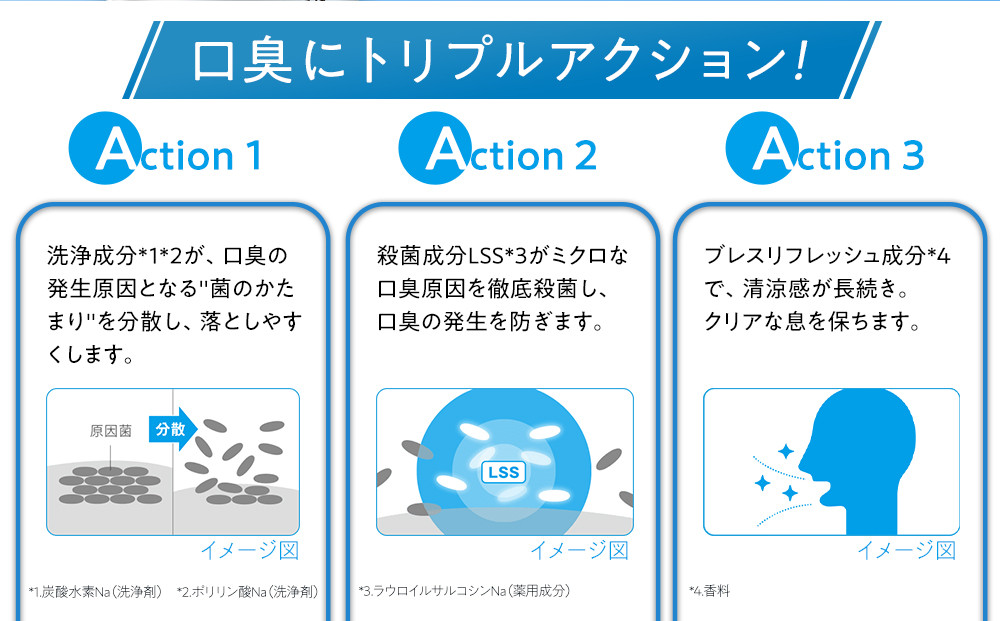 【定期便 毎月 12か月】LION ハミガキセット