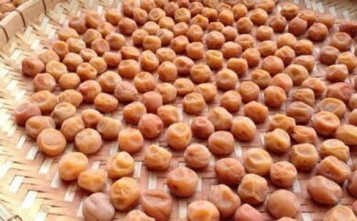 æãªããã®å¡©ã ãã§æŒ¬èŸŒãã ç¡æ·»å ã»ç¡çè²ã®æ¢
å¹²0.8kgãæ¢
å¹² æ¢
å¹²ã ãŠã¡ãã· ãããŒã æ¢
å¹² æ¢
ãŠã¡ ãå®¶çš å®¶åºçš åœç£ ç¡æ·»å ç¡çè² ç¥å¥å·ç å°ç°ååž ã