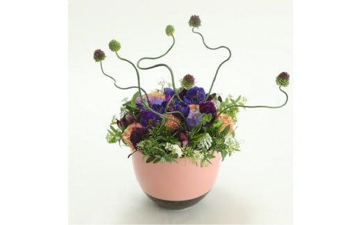 å£ç¯ããšã«å±ããããã¹ããè±ãSãµã€ãºïŒ4åãå±ãïŒãå£ç¯ããšã«å±ããããã¹ããè± Sãµã€ãº ãã©ã¯ãŒã©ã€ã äžçããå± ãã©ã¯ãŒããªãŒã ãžã£ãã³ã«ãã ãã©ã¯ãŒã¢ã¬ã³ãžã¡ã³ã 6çš®é¡ã®ãã©ã¯ãŒã¹ã¿ã€ã« ç¥å¥å·ç å°ç°ååž ã