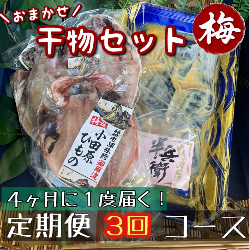 【4ヶ月に1回定期便3回】厳選！小田原の旬の干物セット 梅【 まぐろや 神奈川県小田原市 】