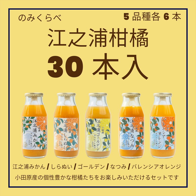 小田原産江之浦みかんジュース５種のみくらべ３０本セット うんしゅう・しらぬい・ゴールデン・なつみ・バレンシアオレンジ１００％ストレートジュース１８０ml各６本合計３０本【 神奈川県 小田原市 】