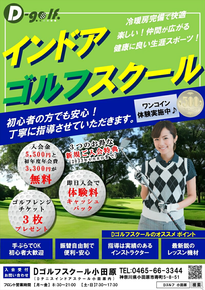 D-ゴルフ小田原　会員限定　１ヶ月レッスン料　平日昼　４回　一般【 神奈川県 小田原市 】