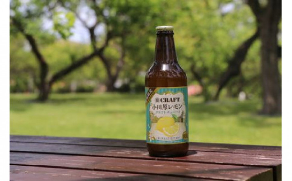 小田原レモンクラフトチューハイ　48本セット