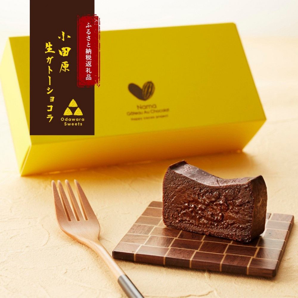 極上の口溶け。幸せの生ガトーショコラ 300g【 高級 濃厚  極上スイーツ グルテンフリー チョコ ショコラテリーヌ 高品質クーベルチュールチョコレート使用 一流シェフ 神奈川県 小田原市 】