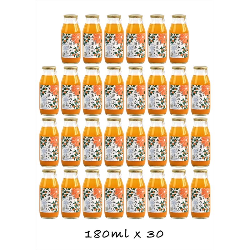 定期便 （2カ月ごと全4回） 小田原産江之浦みかん１００％ストレートジュース１８０ml３０本【 神奈川県 小田原市 】