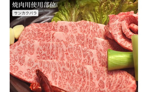 【牛肉 定期便 6回】 幻の相州黒毛和牛肩肉 1.2kg×6回 計7.2kg【相州黒毛和牛 相州牛 幻の牛肉 極上の旨味と風味 キメ細かな上質の脂 様々な料理に ブランド牛 ブランド牛肉 神奈川特産品 神奈川県 小田原市 】