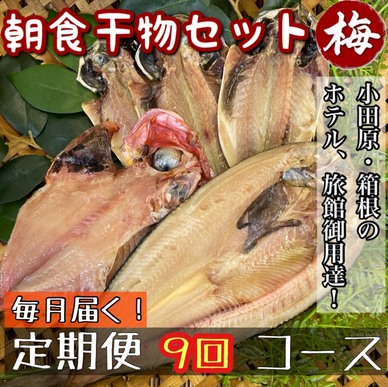 【毎月定期便9回】小田原、箱根の旅館、ホテル御用達！朝食干物セット 梅【 まぐろや 神奈川県小田原市 】