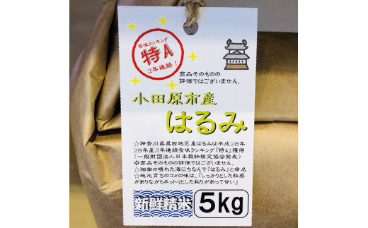 志村屋米穀店 令和7年産小田原市産　はるみ　10kg（5kgｘ2）