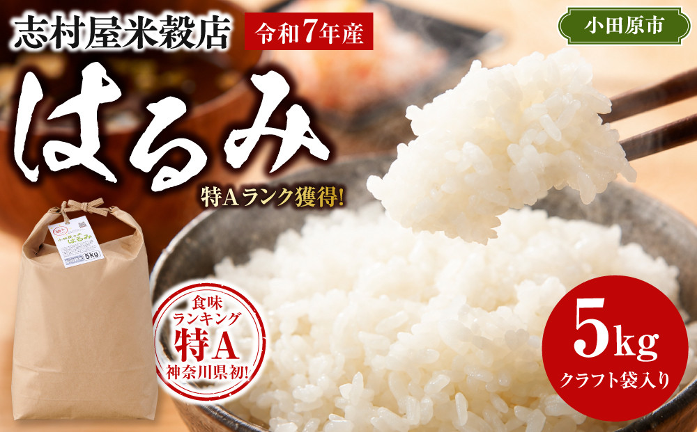 志村屋米穀店 令和7年産小田原市産　はるみ  5kg