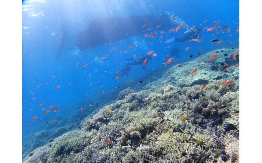 ＰＡＤＩアドバンスコース