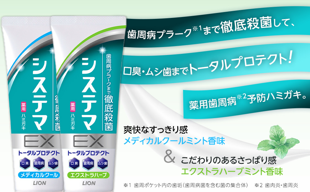 【寄附額見直しました！】LION ハミガキ NONIO×システマ使い比べセット 日用品 ふるさと納税