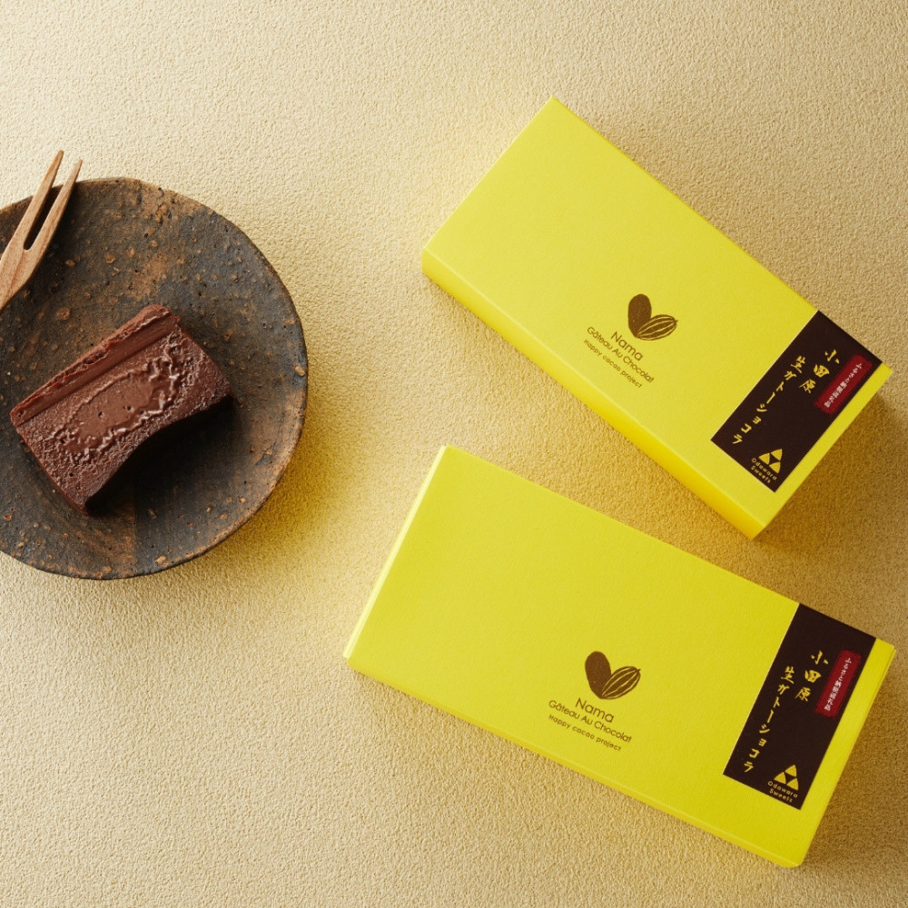 極上の口溶け。幸せの生ガトーショコラ 300g 3本セット【 高級 濃厚  極上スイーツ グルテンフリー チョコ ショコラテリーヌ 高品質クーベルチュールチョコレート使用 一流シェフ 神奈川県 小田原市 】