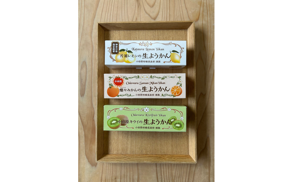 【さっぱりとした現代感覚のフルーツ生ようかんセット】（片浦レモン、小田原キウイ、燦々みかん 各1本）創業昭和10年 小田原 伊勢屋【 和菓子店 ようかん 神奈川県指定銘菓 神奈川県 小田原市 】