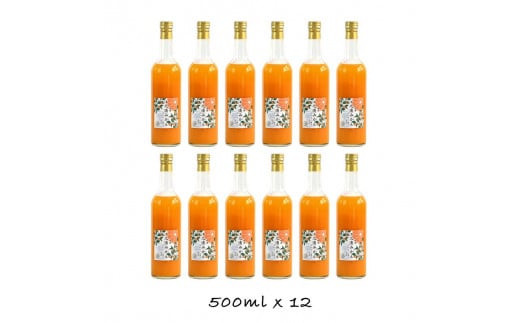 小田原産江之浦みかん１００％ストレートジュース５００ml１２本