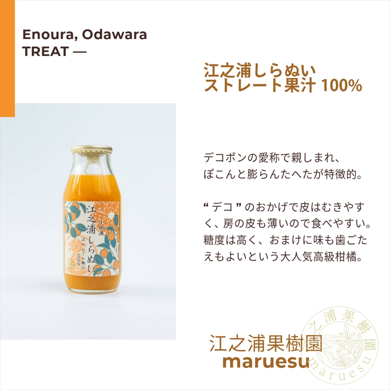 小田原産江之浦みかんジュース５種のみくらべ１０本セット うんしゅう・しらぬい・ゴールデン・なつみ・バレンシアオレンジ１００％ストレートジュース１８０ml各２本合計１０本【 神奈川県 小田原市 】