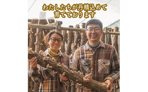 スイスで加工品を学んだ農家が手間暇かけて手づくりした『しいたけとたまねぎのなんでもソース』≪お得サイズ≫9本セット【 家庭用 自宅用 贈答品 贈答用 ギフト お取り寄せ お中元 お歳暮 贈り物 お祝い 神奈川県 小田原市 】